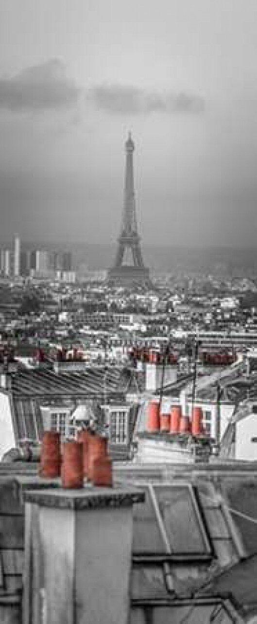 Cityscape of Montmartre with Eiffel Tower, Paris, France Poster Print by Assaf Frank - Item # VARPDXAF201409221148PC04